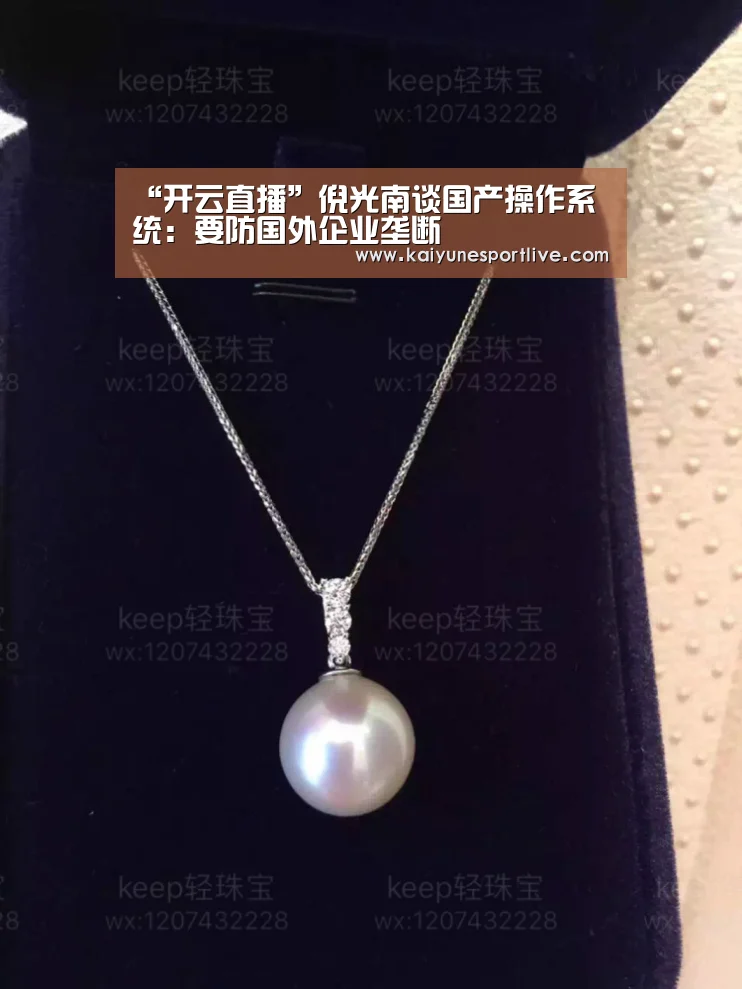 “开云直播”倪光南谈国产操作系统:要防国外企业垄断(图3) 开云直播